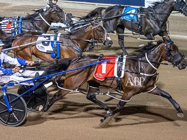 Where Are They Now: Bettor’s Heart