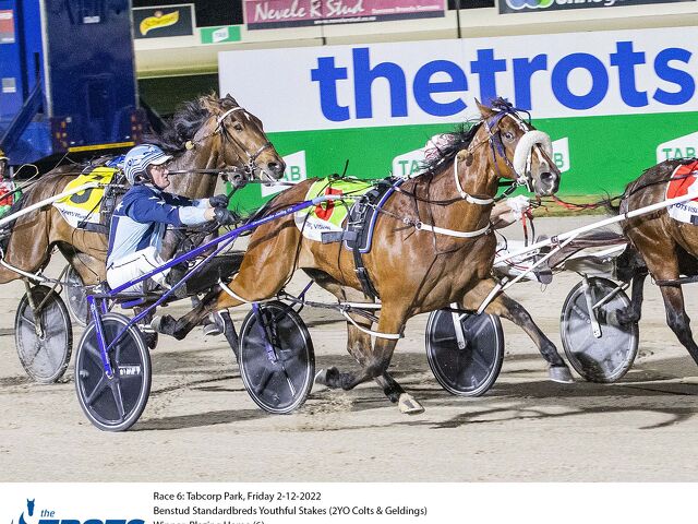 Undefeated youngster from old Auckland family