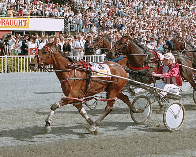 A race for the greats: NZ Breeders Stakes history written in hoofprints