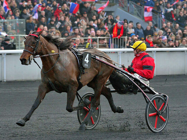 Bold Eagle joins Stallion Ranks