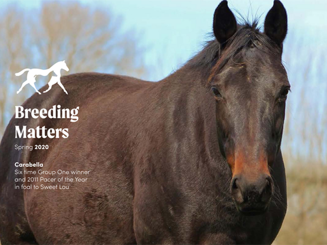 Breeding Matters Magazine: Spring 2020