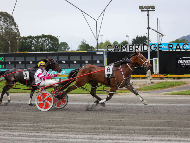 Brookies Jaffa adds another win to Armstrong’s tally
