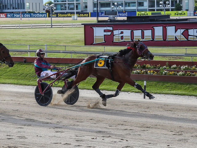 Hall enjoying prosperous spring