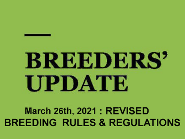 Woodlands Stud Breeders' Update