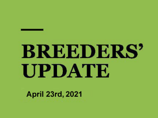 Woodlands Stud Breeders' Update