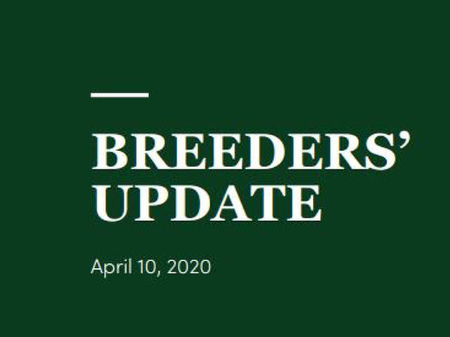 Woodlands Stud Breeders' Update