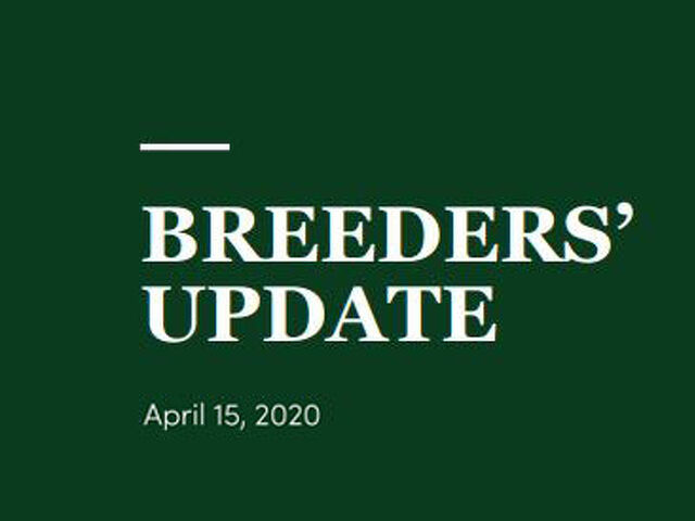Woodlands Stud Breeders' Update