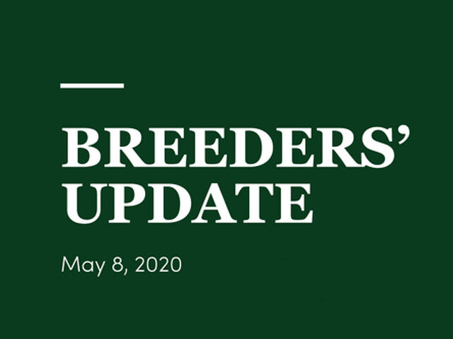 Woodlands Stud Breeders' Update