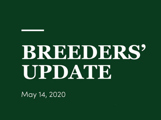 Woodlands Stud Breeders' Update
