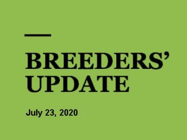 Woodlands Stud Breeders' Update
