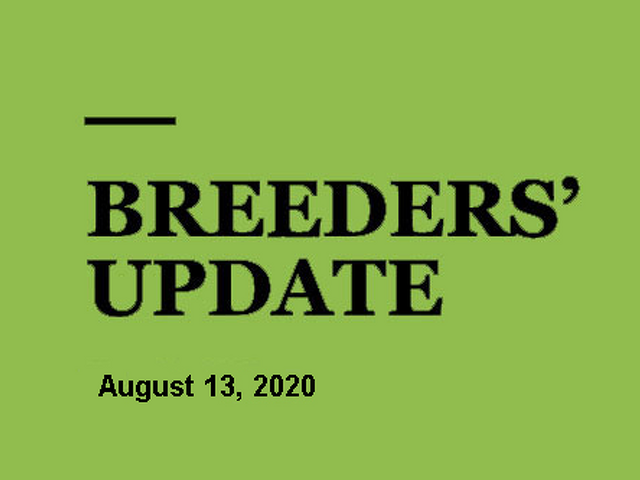 Woodlands Stud Breeders' Update