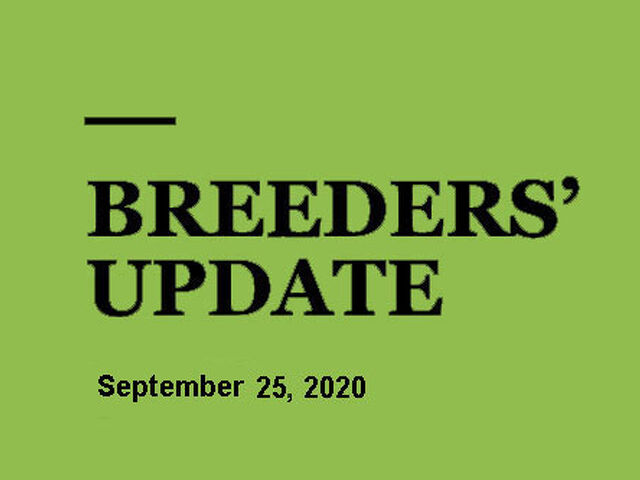 Woodlands Stud Breeders' Update