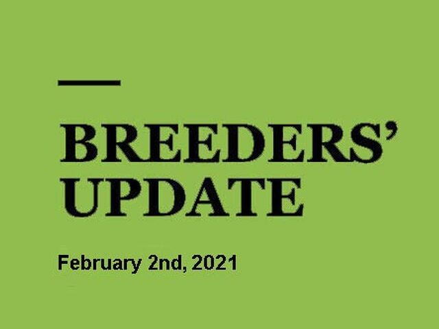 Woodlands Stud Breeders' Update