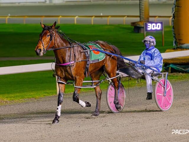Granddaughter of Southland Oaks victor won twice in 60 hours!