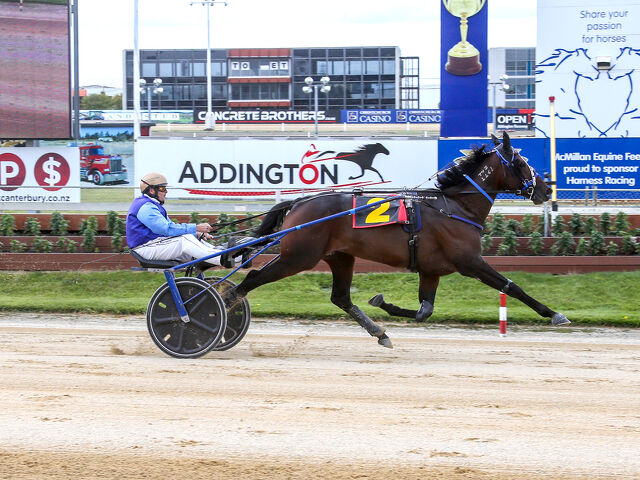 Carlton getting every opportunity at stud