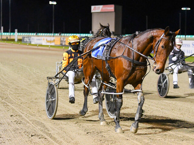 Another star for Paul Bielby?