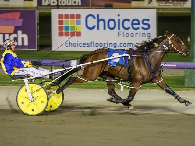 Bull Wins Group One Feature