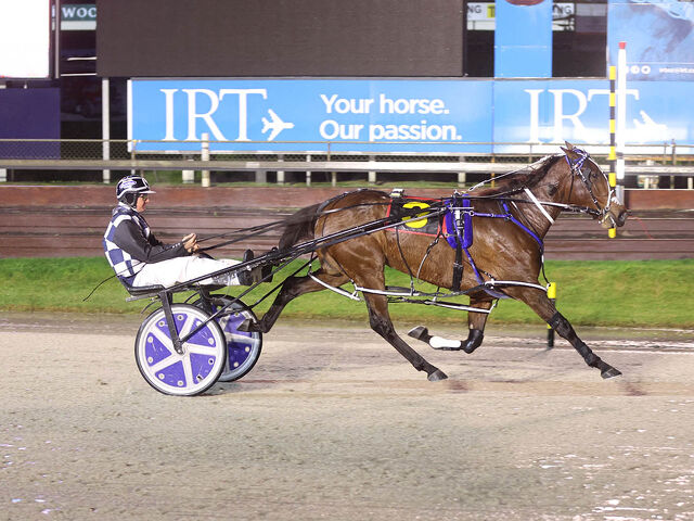Great Families — Both Horse & Human — Still Doing the Busines