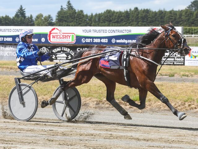 Harness 5000 winner, Clotilde Wainwright… a name to remember