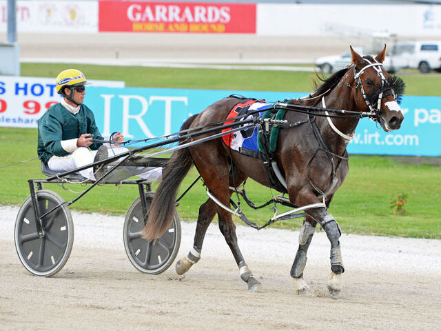 Business as usual for Woodlands Stud