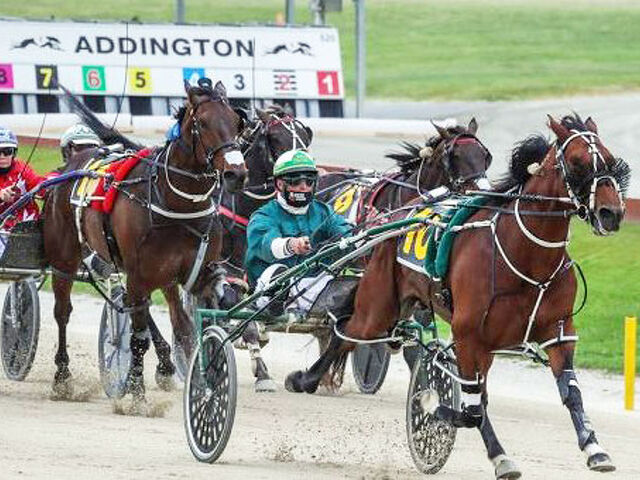 Woodlands Stud's breakthrough NZ Cup success