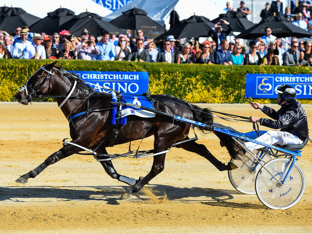 Wai Eyre goes big with Lazarus