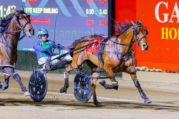 Rookie Breeder Bruce Tarry Strikes Gold with Boom NSW Sprinter Cya Art