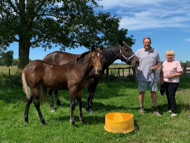 Red letter day for Bagrie’s broodmare