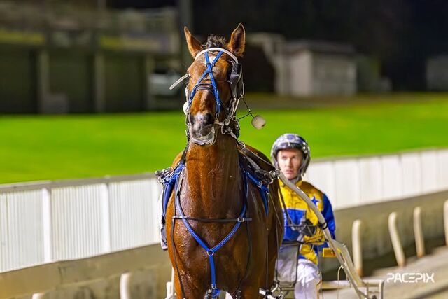 Beginner’s luck smiles on Southland breeders