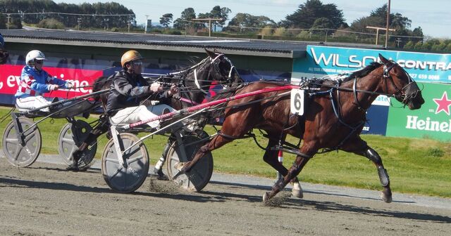 Breeding Partnership Behind WA Star Delightful Peg