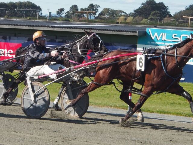 Breeding Partnership Behind WA Star Delightful Peg