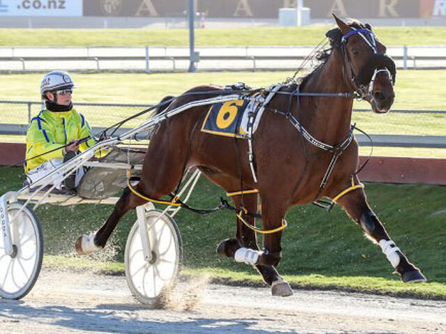 Progeny of Lecerne Lil continue to deliver for Loves