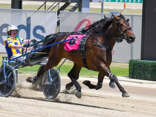 Top trotter salutes for International breeding group