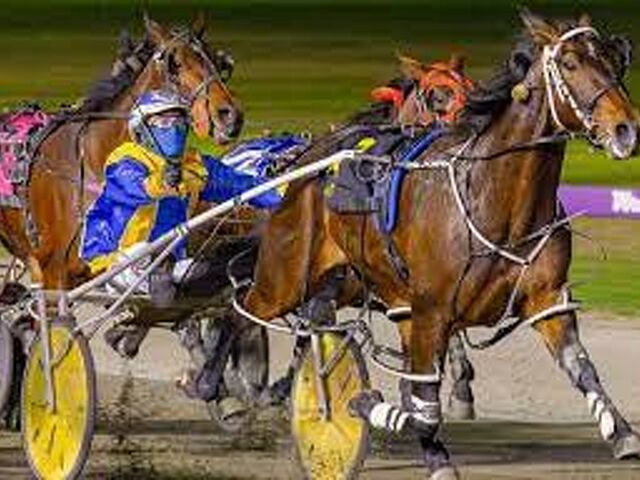 Bargain buy bags WA Derby