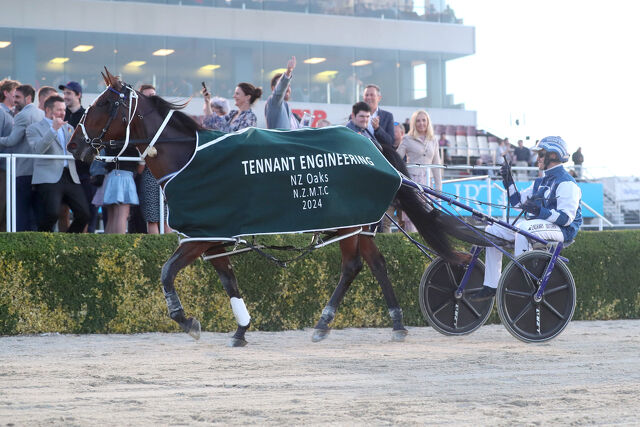 Top mares set for new spring racing series