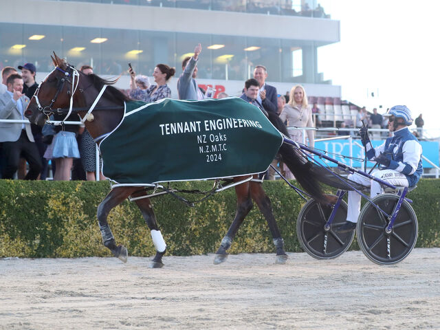 Top mares set for new spring racing series