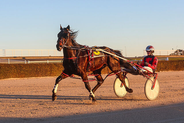 Top Racemares Doing the Job as Broodmares