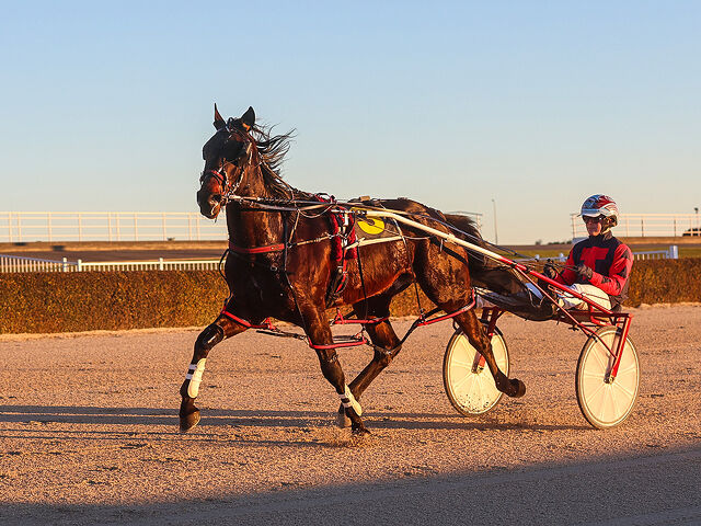Top Racemares Doing the Job as Broodmares