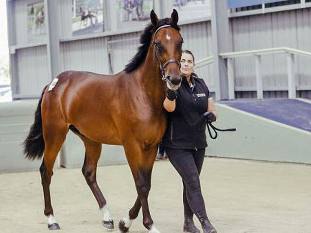 Kennedy to cherish top-priced sale