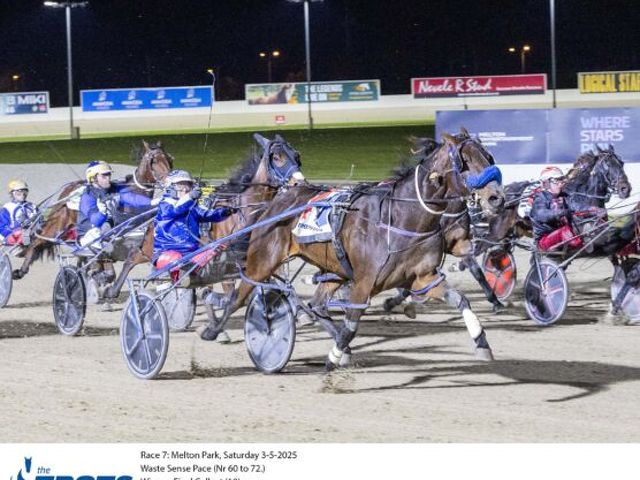 Tiny orphan foal now a Melton winner
