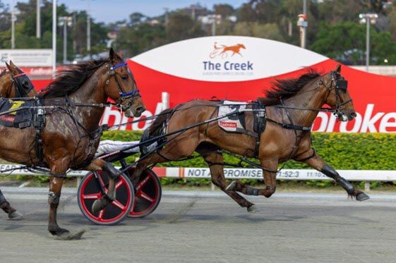 Friendship leads to fast Albion Park winner