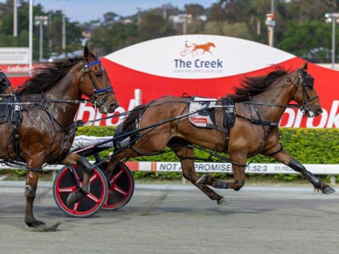 Friendship leads to fast Albion Park winner