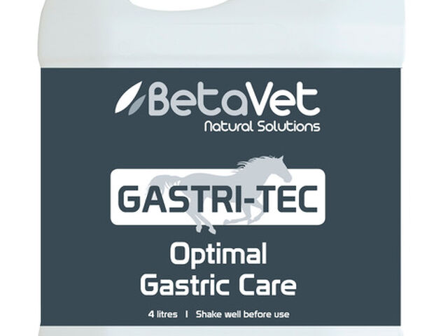 BETA VET Yearling Sale special