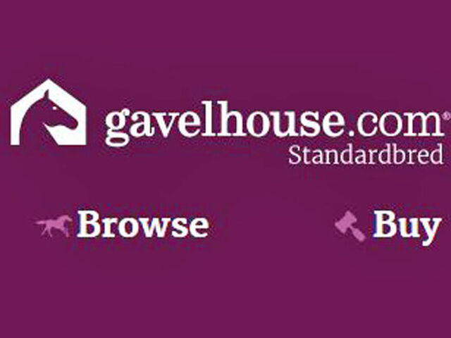 gavelhouse.com Standardbred auctions now fortnightly