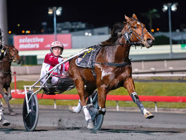 Aussie Group 1 winner from noted family of trotters
