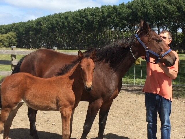Touch Of Gold dynasty still thriving in Australia