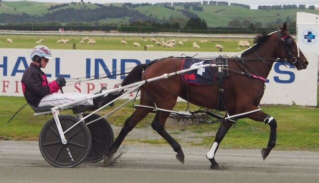 Homebred Success Continues for Van Opzeeland with Gottagoodfeeling
