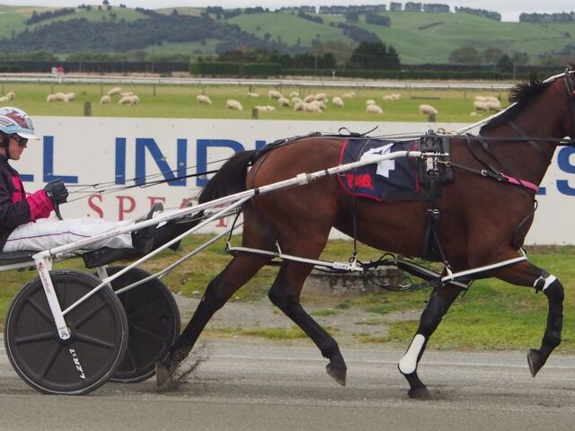 Homebred Success Continues for Van Opzeeland with Gottagoodfeeling