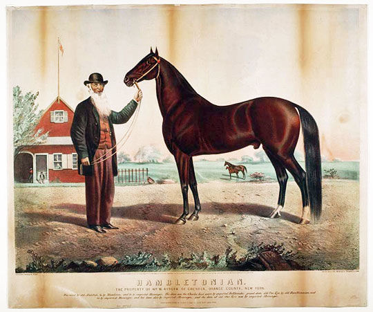 A 19th century trotting race