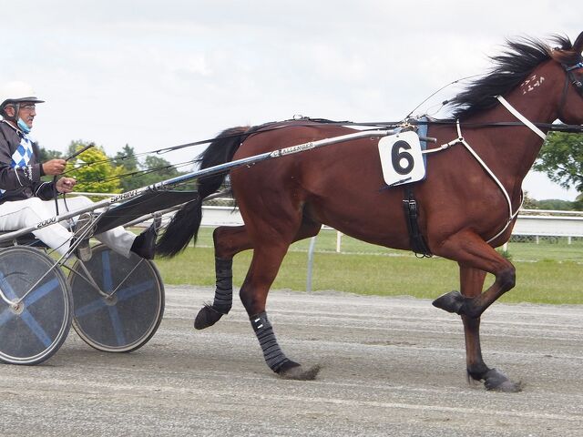 Armageddon for Harry Stampers Rivals